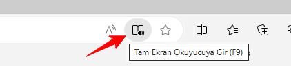Microsoft Edge Okuma Modu 1