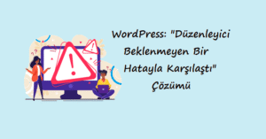 WordPress: ‘Düzenleyici beklenmeyen bir hatayla karşılaştı’ Çözümü