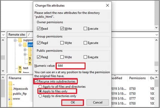 ftp wordpress dosya izinleri