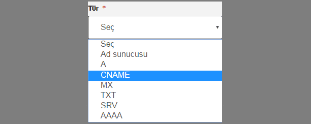 godaddy blogspot domain yonlendirme CNAME Kaydi