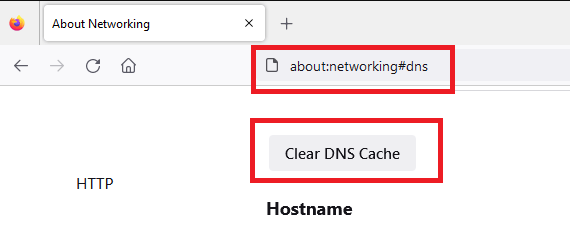 mozilla firefox dns onbellek temizleme