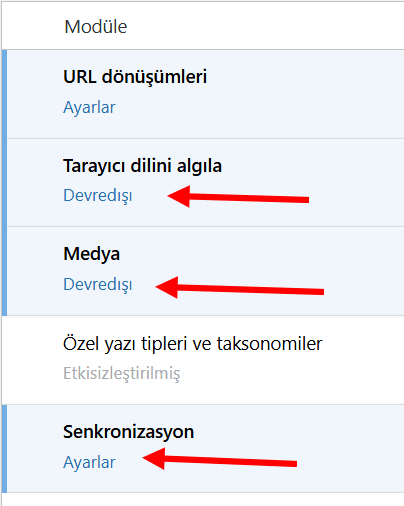 Polylang ile Çok Dilli WordPress Sitesi Oluşturma 7 Polylang Ayarlar-2