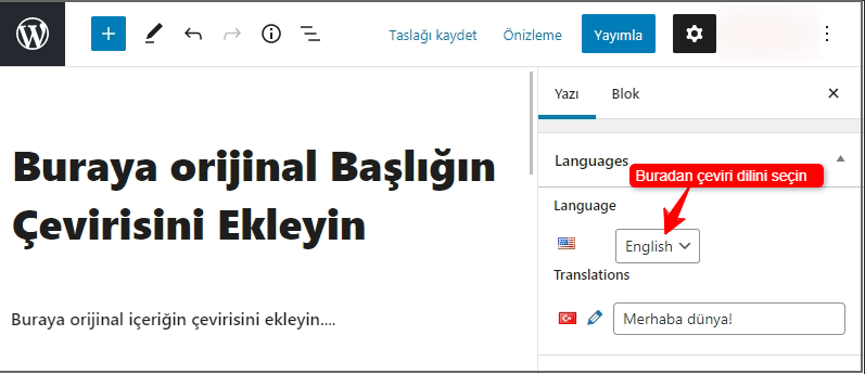 Polylang ile Çok Dilli WordPress Sitesi Oluşturma 9 polylang eklentisi ile yazilari farki dile cevirme 1