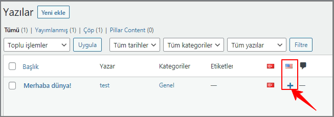 Polylang ile Çok Dilli WordPress Sitesi Oluşturma 8 polylang eklentisi ile yazilari farki dile cevirme