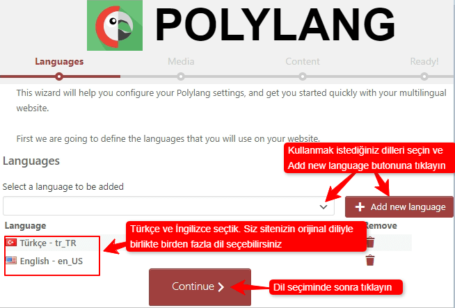 Polylang ile Çok Dilli WordPress Sitesi Oluşturma 2 polylang kurulum sihirbazi