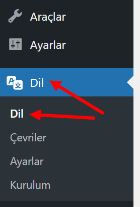 Polylang ile Çok Dilli WordPress Sitesi Oluşturma 3 Polylang Manuel Dil Ayarları-1