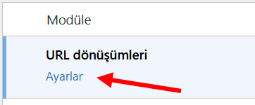 Polylang ile Çok Dilli WordPress Sitesi Oluşturma 5 polylang url ayarlari 1