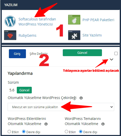 softaculous ile otomatik wordpress guncelleme