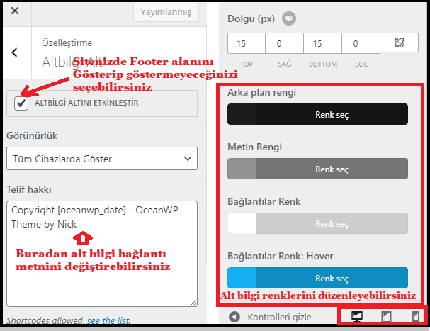 tema ozellestirici ile wordpress footer duzenleme 3