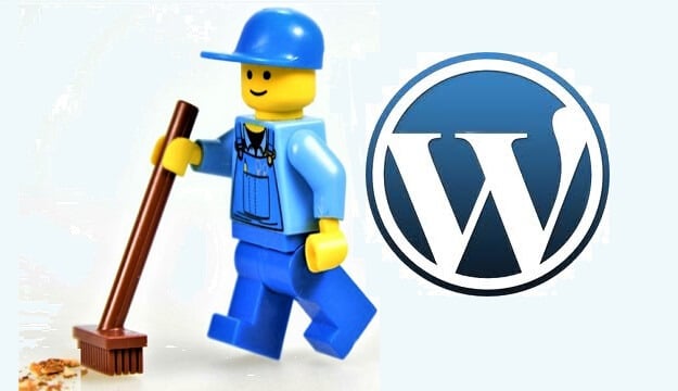 WordPress Eklenti Kalıntılarını ve Gereksiz Dosyaları Temizleme