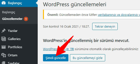 wordpress guncelleme admin panel 2