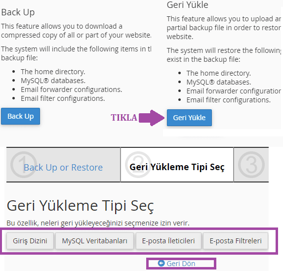cpanel yedegi geri yukleme