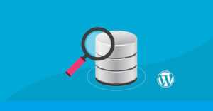 WordPress Veritabanı Adı Nasıl Öğrenilir?
