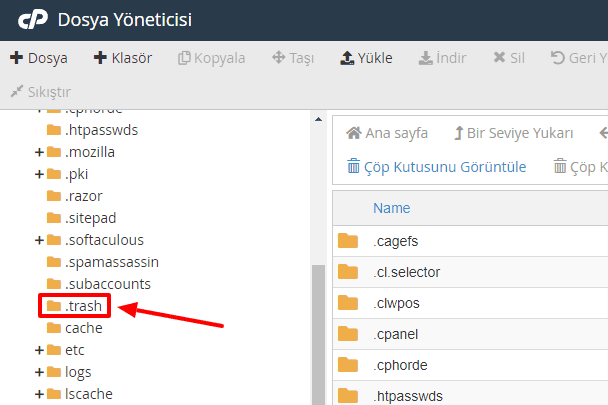cPanel Dosya Yoneticis Trash