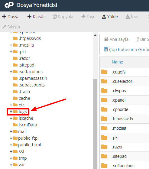 cPanel logs temizleme