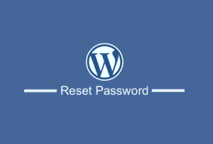 WordPress Şifre Değiştirme İşlemi Nasıl Yapılır?