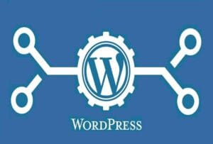 WordPress Veritabanı Nasıl Güncellenir?