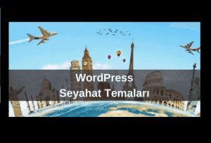 En İyi 20 WordPress Seyahat Teması