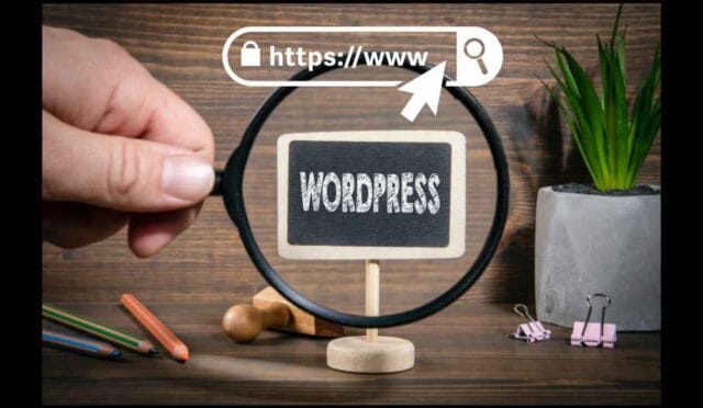 WordPress Yorum Formundan URL Alanını Kaldırma