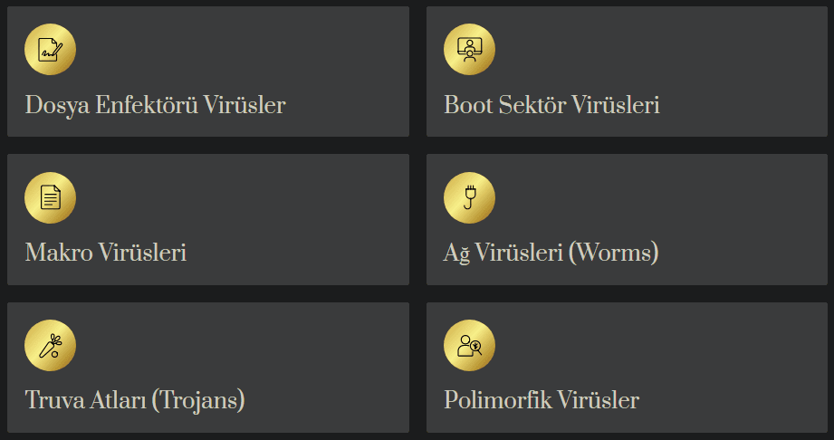 Bilgisayar Virusu Turleri 1