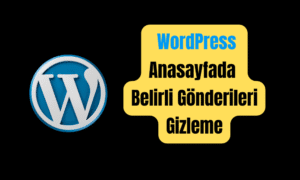 WordPress Ana Sayfada Belirli Gönderileri Gizleme
