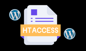.htaccess dosyası nerede ve nasıl oluşturulur?