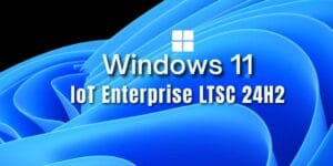 Windows 11 IoT Enterprise LTSC 24H2 Kurulum Rehberi