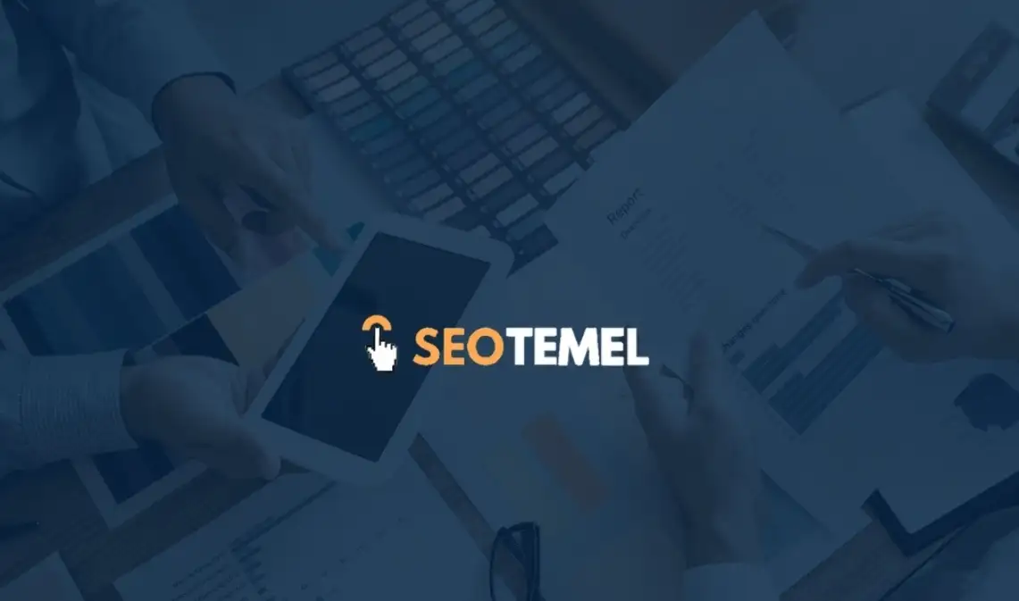 SEO Temel-SEO Uzmanı